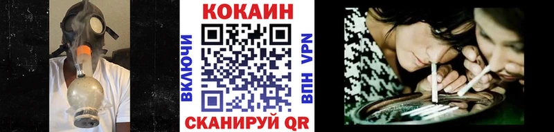 Купить закладки  Саров  Cocaine FishScale 