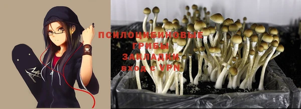 мескалин Костерёво