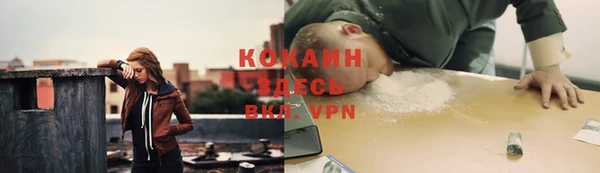 ALPHA PVP Коряжма