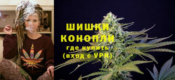 ALPHA PVP Коряжма