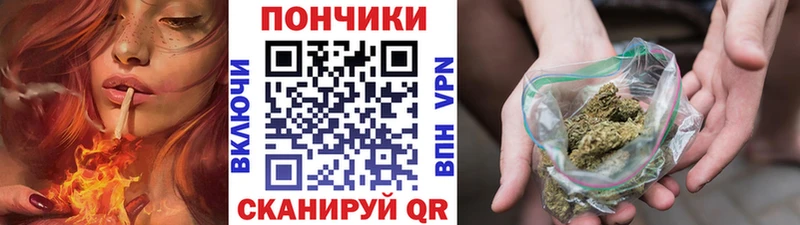 Купить  Саров  Марихуана ГИДРОПОН 